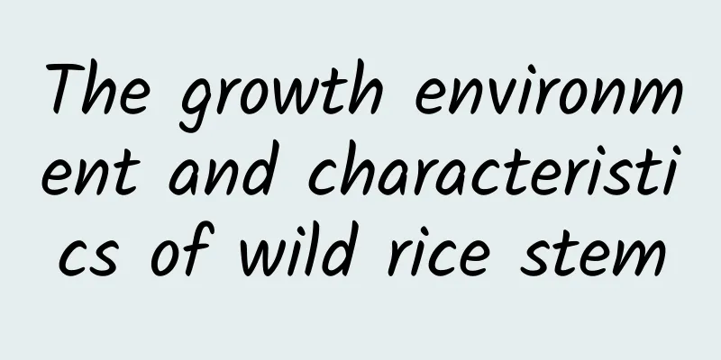 The growth environment and characteristics of wild rice stem