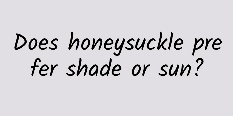 Does honeysuckle prefer shade or sun?