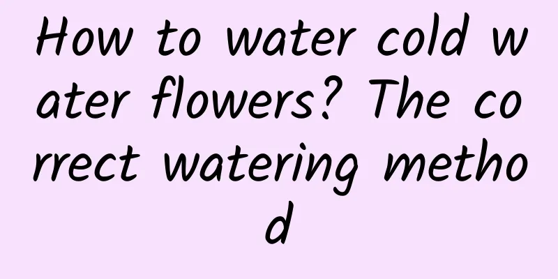 How to water cold water flowers? The correct watering method