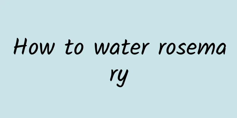 How to water rosemary