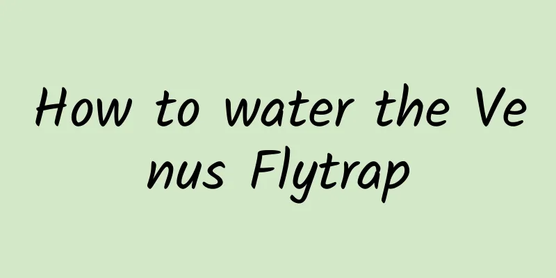 How to water the Venus Flytrap
