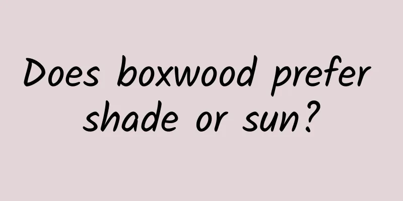 Does boxwood prefer shade or sun?