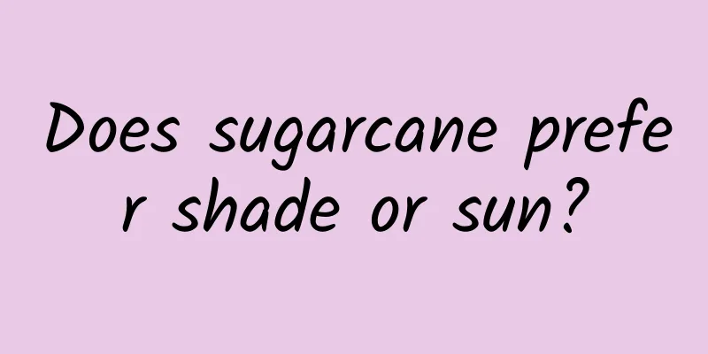 Does sugarcane prefer shade or sun?