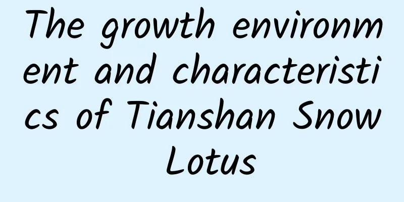 The growth environment and characteristics of Tianshan Snow Lotus