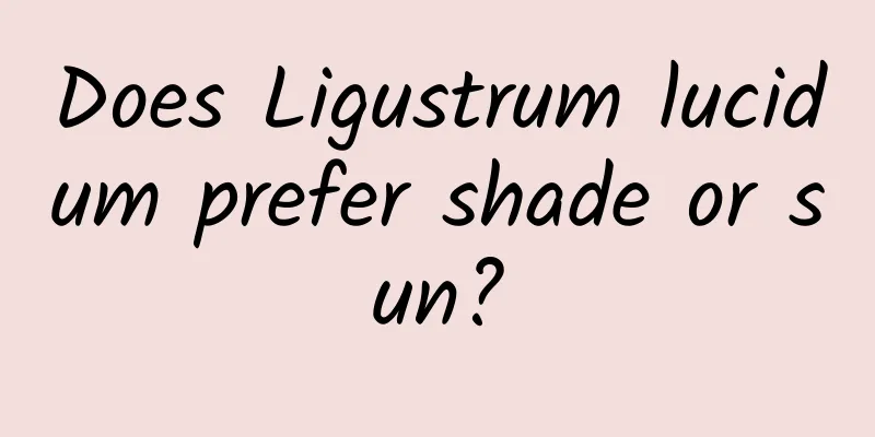 Does Ligustrum lucidum prefer shade or sun?