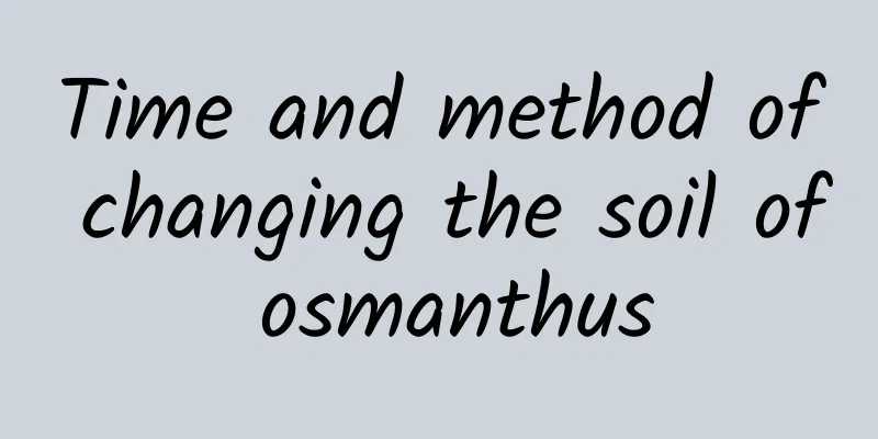 Time and method of changing the soil of osmanthus