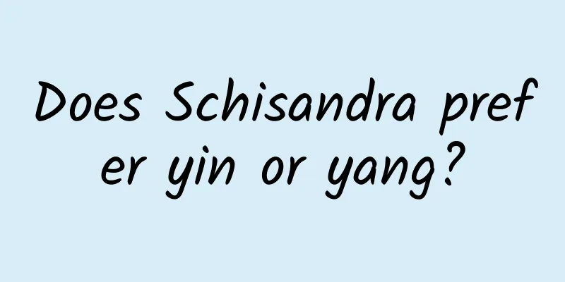 Does Schisandra prefer yin or yang?