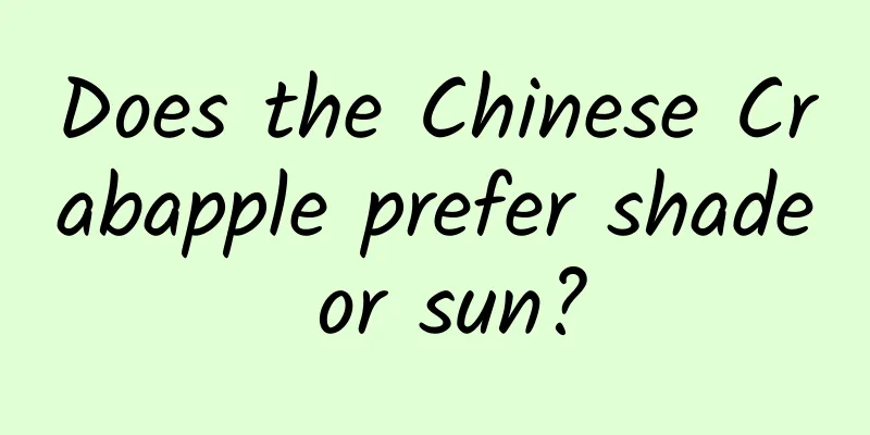 Does the Chinese Crabapple prefer shade or sun?