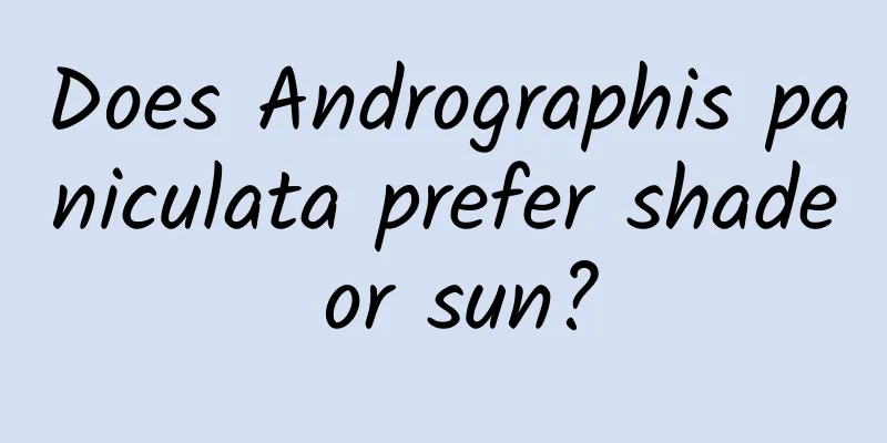 Does Andrographis paniculata prefer shade or sun?