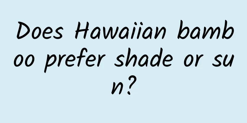 Does Hawaiian bamboo prefer shade or sun?