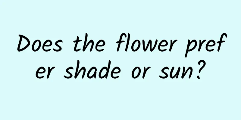 Does the flower prefer shade or sun?
