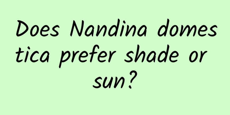 Does Nandina domestica prefer shade or sun?
