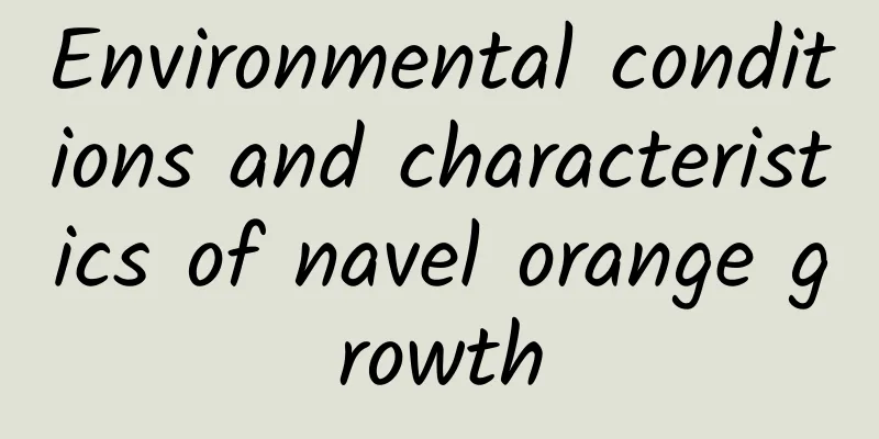 Environmental conditions and characteristics of navel orange growth