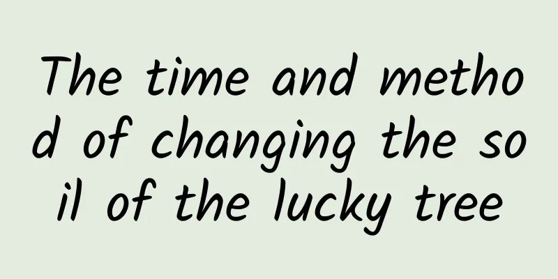 The time and method of changing the soil of the lucky tree