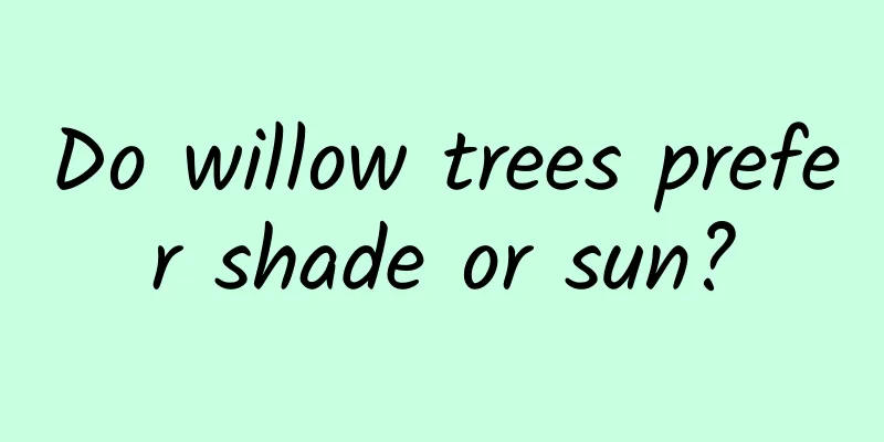 Do willow trees prefer shade or sun?