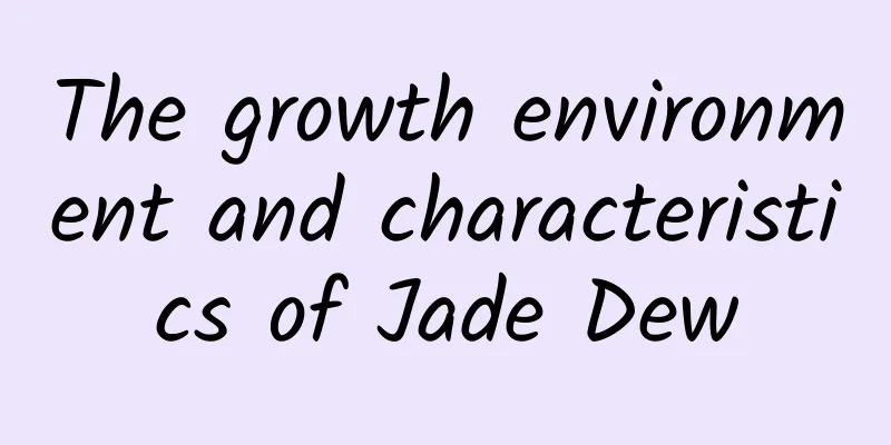 The growth environment and characteristics of Jade Dew