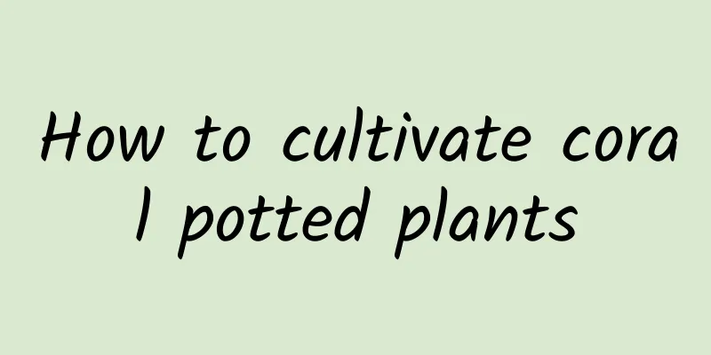 How to cultivate coral potted plants