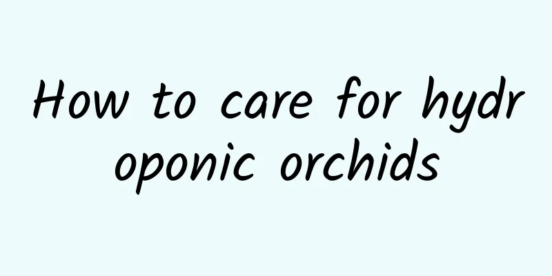 How to care for hydroponic orchids