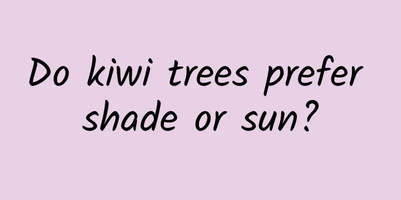 Do kiwi trees prefer shade or sun?