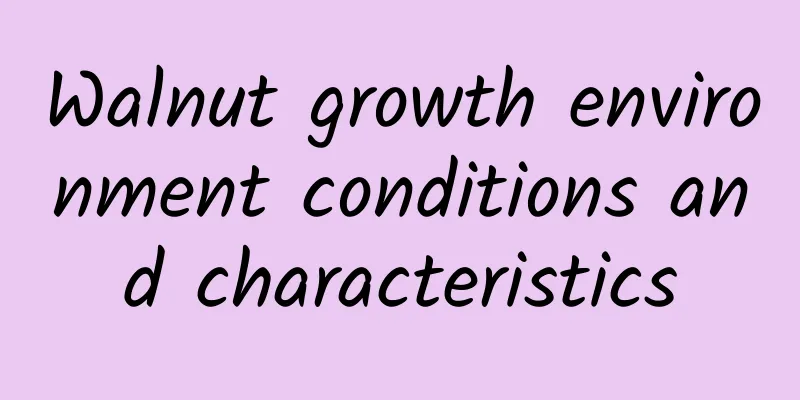 Walnut growth environment conditions and characteristics