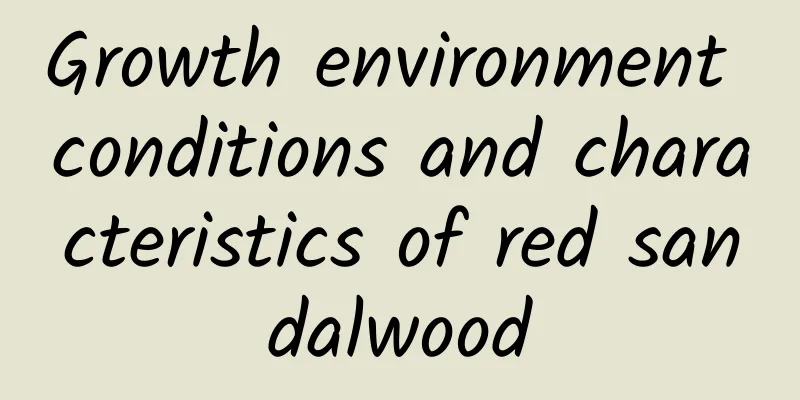 Growth environment conditions and characteristics of red sandalwood