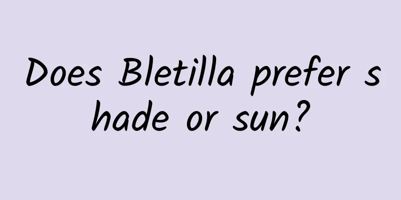 Does Bletilla prefer shade or sun?