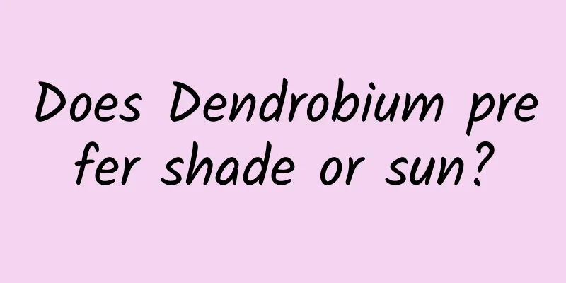 Does Dendrobium prefer shade or sun?