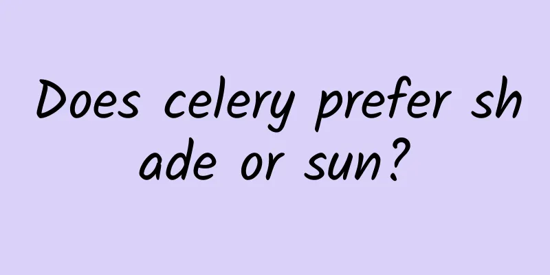 Does celery prefer shade or sun?