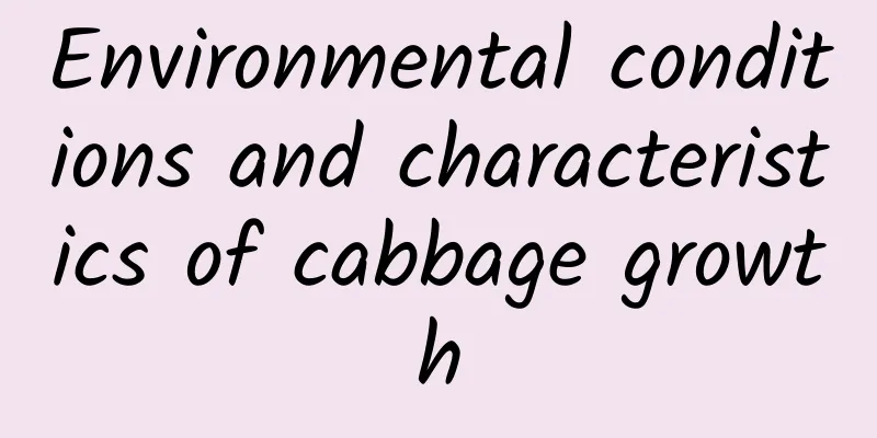 Environmental conditions and characteristics of cabbage growth