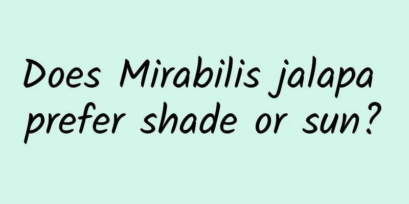 Does Mirabilis jalapa prefer shade or sun?
