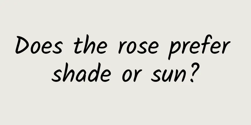 Does the rose prefer shade or sun?