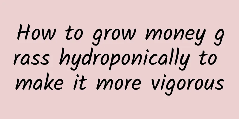 How to grow money grass hydroponically to make it more vigorous
