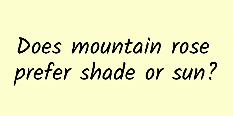 Does mountain rose prefer shade or sun?