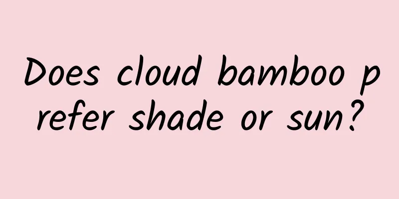 Does cloud bamboo prefer shade or sun?