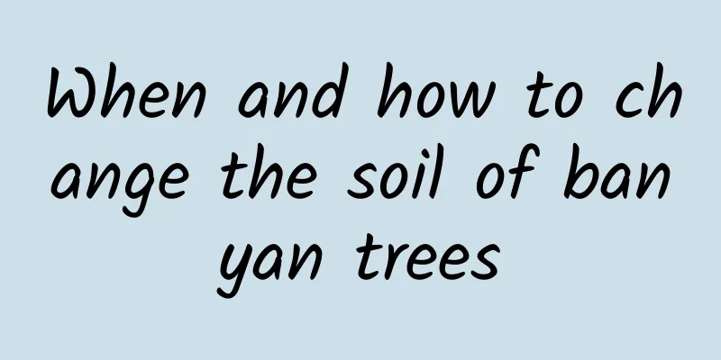 When and how to change the soil of banyan trees