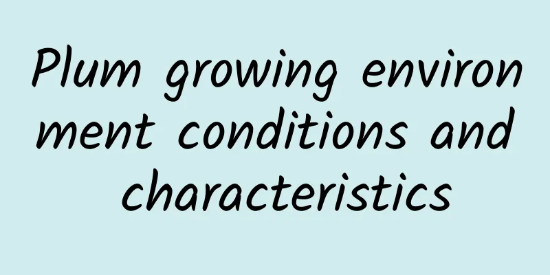 Plum growing environment conditions and characteristics