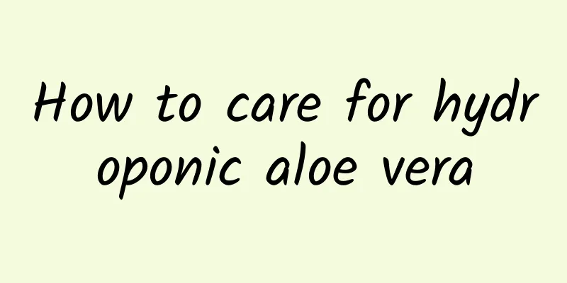 How to care for hydroponic aloe vera