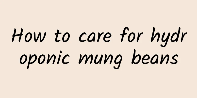 How to care for hydroponic mung beans