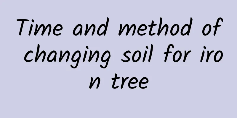 Time and method of changing soil for iron tree