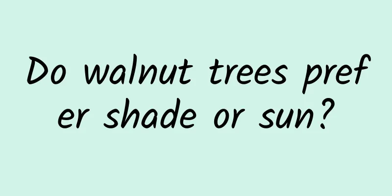 Do walnut trees prefer shade or sun?