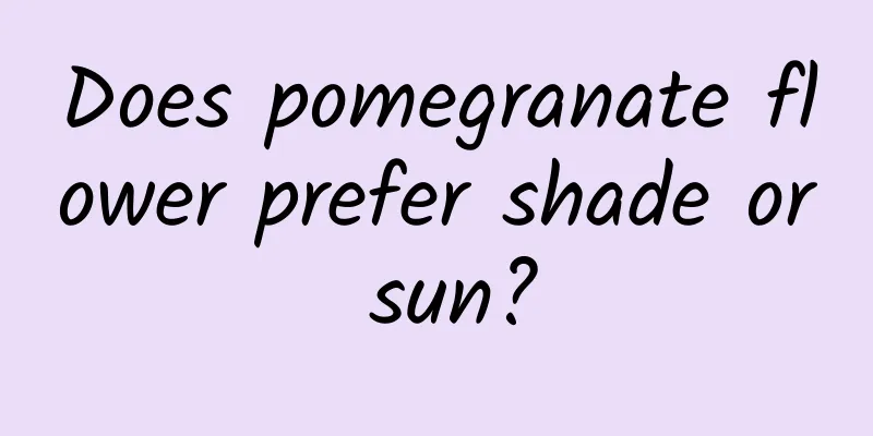 Does pomegranate flower prefer shade or sun?