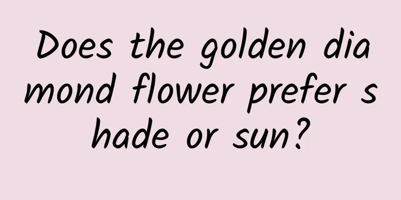 Does the golden diamond flower prefer shade or sun?