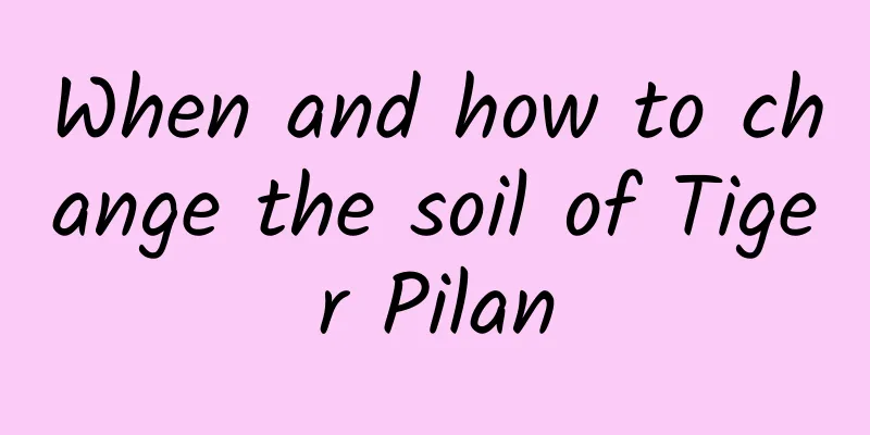 When and how to change the soil of Tiger Pilan