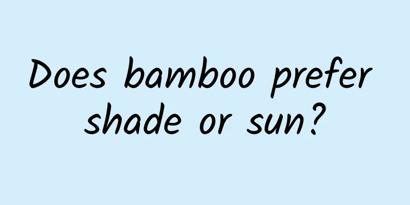 Does bamboo prefer shade or sun?