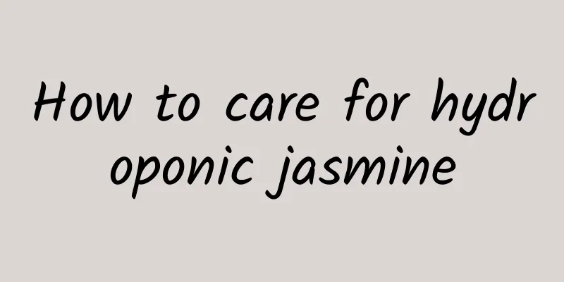 How to care for hydroponic jasmine