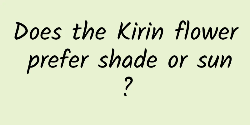 Does the Kirin flower prefer shade or sun?