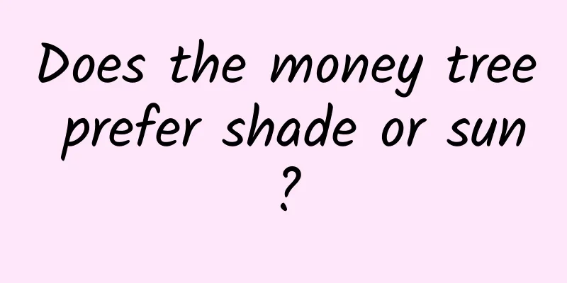 Does the money tree prefer shade or sun?