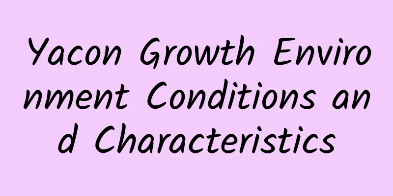 Yacon Growth Environment Conditions and Characteristics