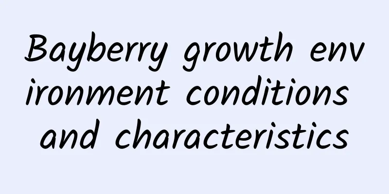 Bayberry growth environment conditions and characteristics