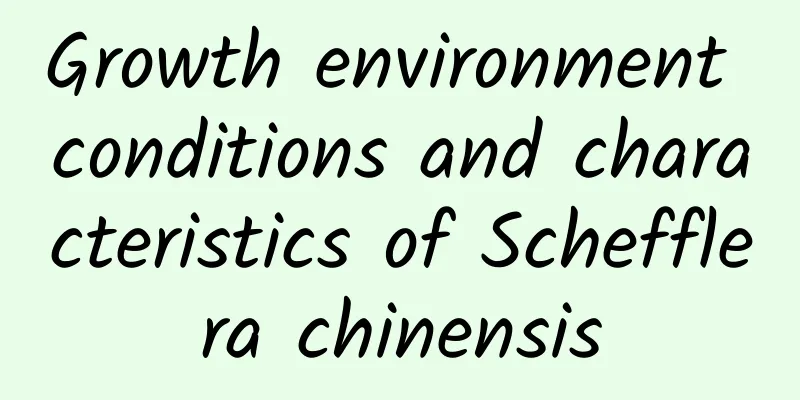 Growth environment conditions and characteristics of Schefflera chinensis